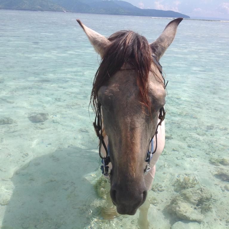 فندق Gili T Sugar Shack غيلي تراوانغان المظهر الخارجي الصورة